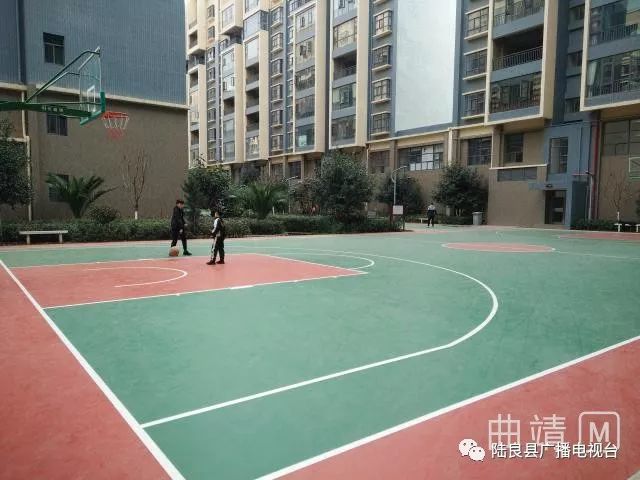 IM体育官方同乐街道首块硅PU篮球场在龙园小区建成正式投入使用