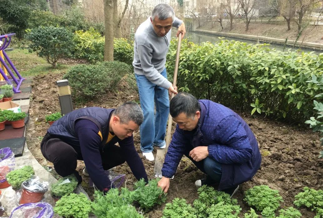 培育自治组织、丰富儿童生活、开通“嘉门口驿站”…为了让居民满意他们这么做→(图2)