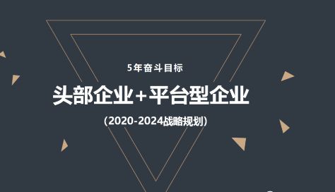 聚力前行 嘉宝莉地坪漆召开2020年中经营总结会！(图5)